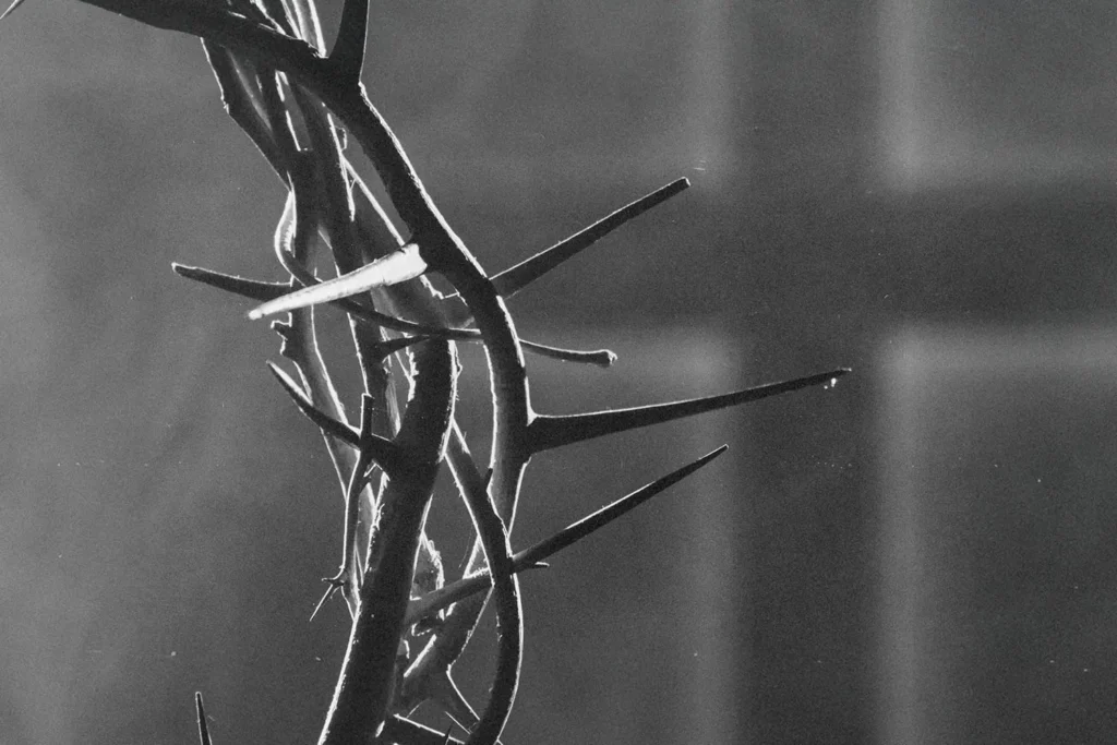 Close-up of a crown of thorns in dramatic lighting against a soft, blurred cross in the background.