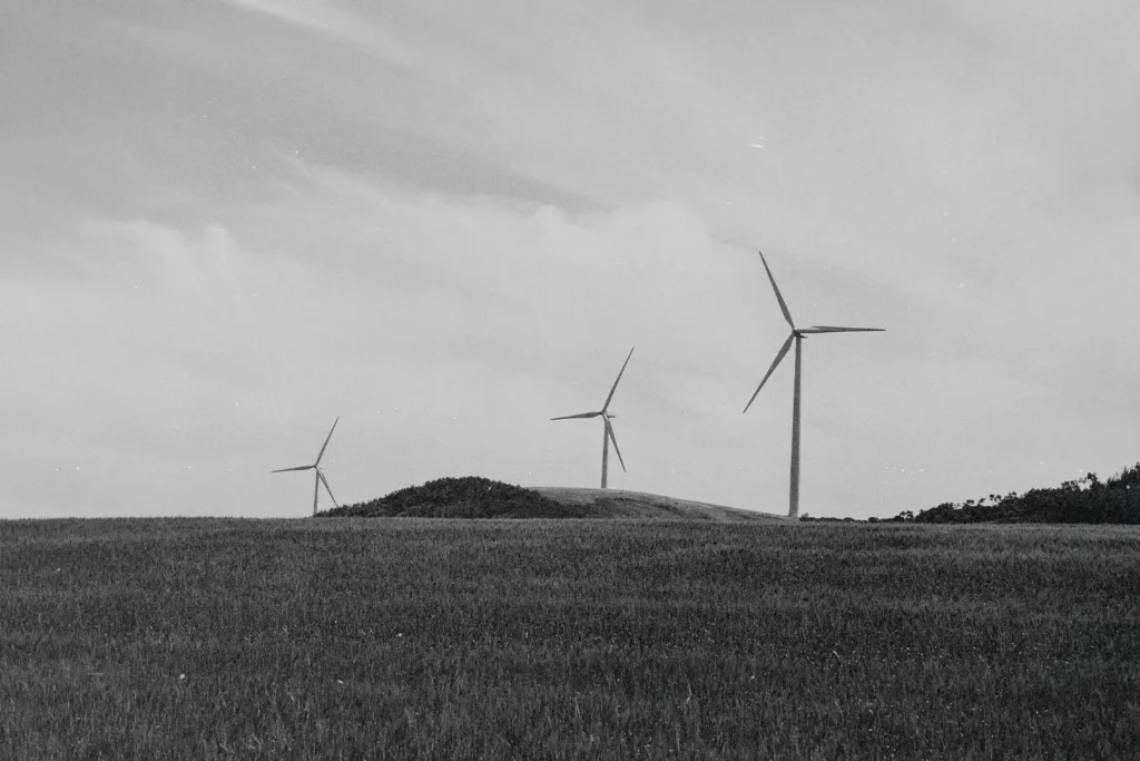 three windmills in an open field
