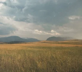Wide open field of golden grass under a dramatic, cloud‑filled sky with distant mountains on the horizon