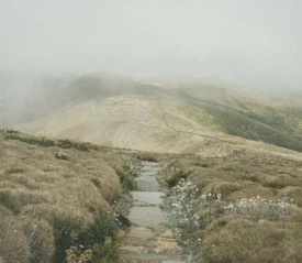 A stone path winds through grassy, windswept hills under a foggy, overcast sky