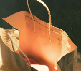A paper shopping bag lit by warm sunlight, showing its open top and twisted handles