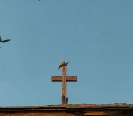 Quail sitting on top of a wooden cross