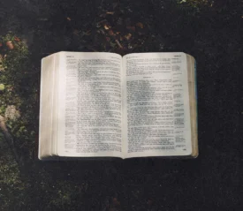 An open Bible rests on the ground in a patch of sunlight surrounded by moss and fallen leaves