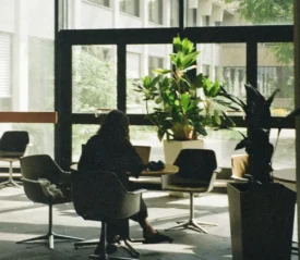 Person sitting at a table in a bright indoor lounge area, working on a laptop near large windows and potted plants