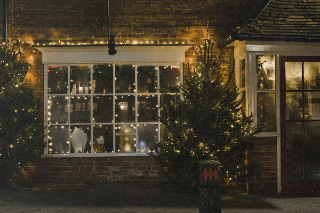 Tree and window with hanging Christmas lights