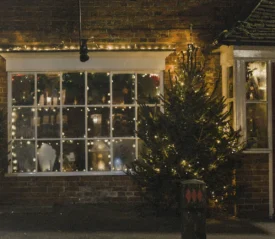 Tree and window with hanging Christmas lights