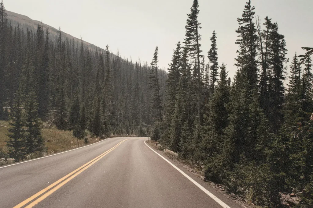 A two‑lane mountain road curves through a forest of tall evergreen trees