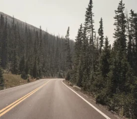 A two‑lane mountain road curves through a forest of tall evergreen trees