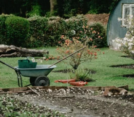 Garden with wheelbarrow