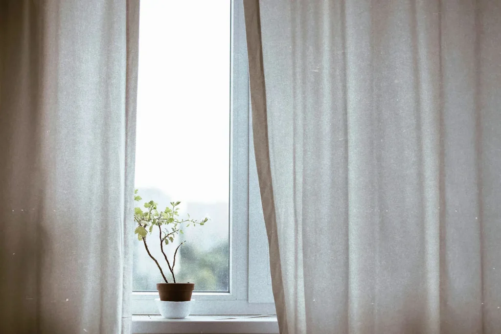 Plant in a window seal