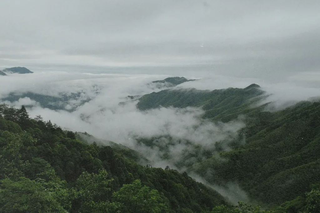 Fog resting in the valley of mountains