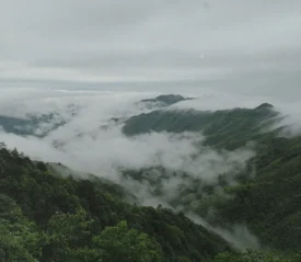 Fog resting in the valley of mountains