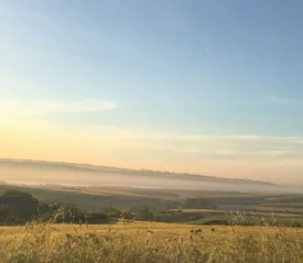 Open grass field and clear blue skies