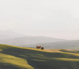 Grass pastures with a single house and shed in the distance