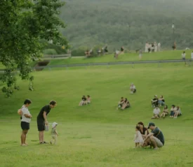 People relaxing and playing on a large grassy hillside, with families and groups scattered across the lawn on a sunny day.
