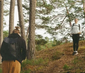 wo people walking through a forested trail surrounded by tall pine trees and grassy undergrowth
