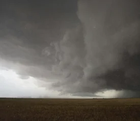 Grey skies over open field