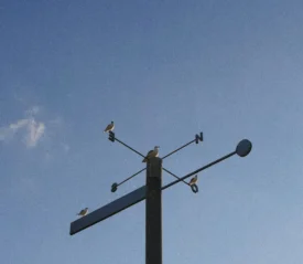 weathervane