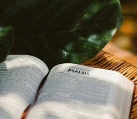 bible open to the book of Psalms