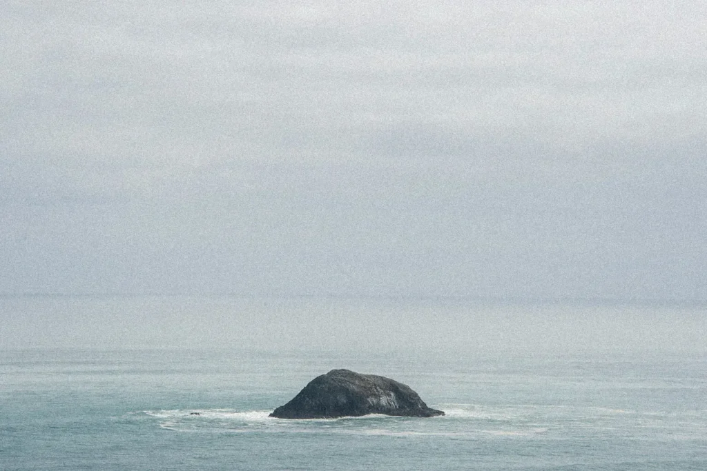 land peeking out of the water