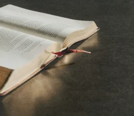 Open Bible lies on a dark surface, its pages slightly curved with a ribbon bookmark extending outward
