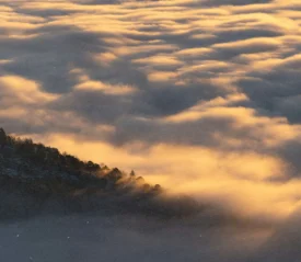 Bed of clouds resting on mountain top