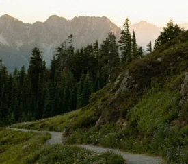 road winding through moutains
