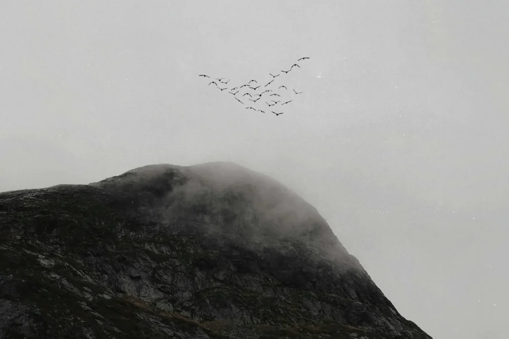 A flock of birds flies in formation over a rugged, mist-covered mountain peak under a gray sky