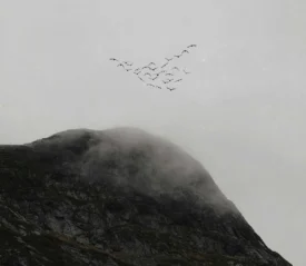 A flock of birds flies in formation over a rugged, mist-covered mountain peak under a gray sky