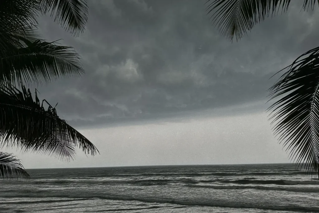Ocean shore with dark clouds forming and palm trees blowing in the wind