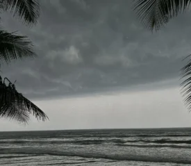 Ocean shore with dark clouds forming and palm trees blowing in the wind