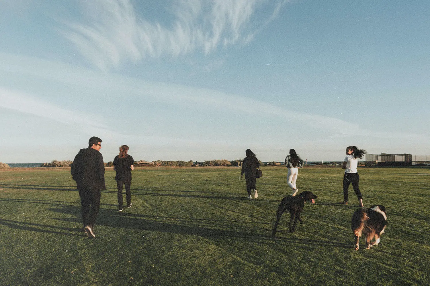 A group of people walk across an open grassy field under a blue sky, accompanied by two dogs, with the horizon and distant structures in the background
