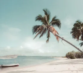 Mozambique Ministry Revived!