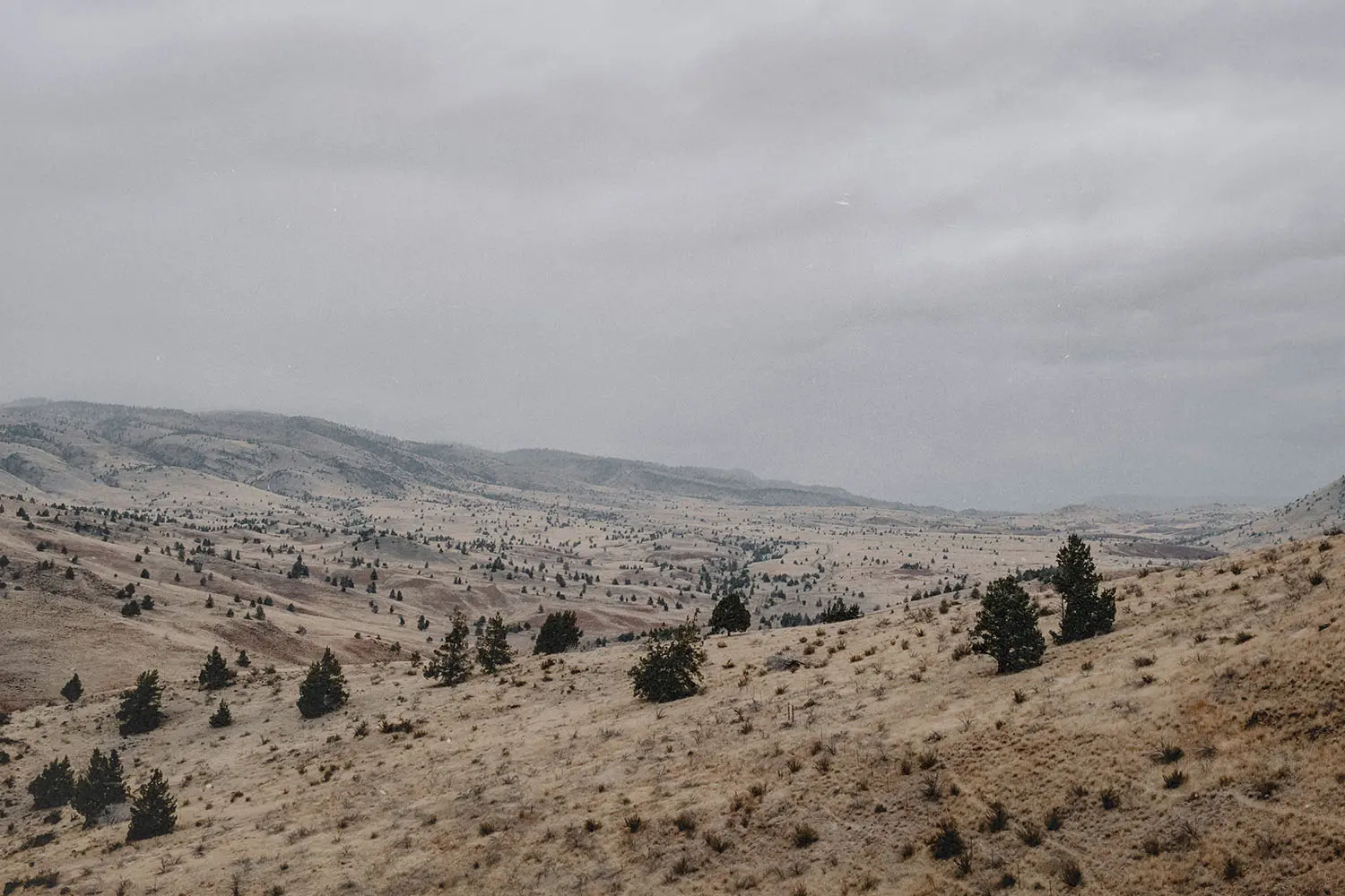 A wide, muted landscape of rolling hills dotted with sparse trees under an overcast gray sky