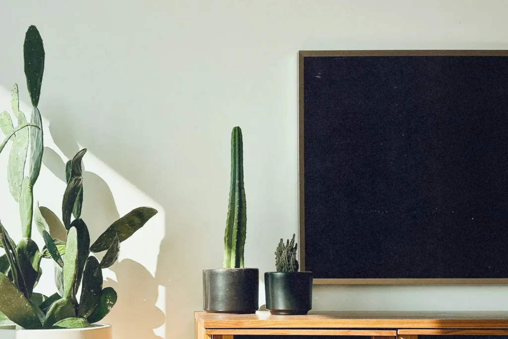 Indoor plants resting on a tv stand with a flat screen