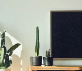 Indoor plants resting on a tv stand with a flat screen