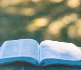 Open Bible resting on a wooden bench with sunlight illuminating the pages