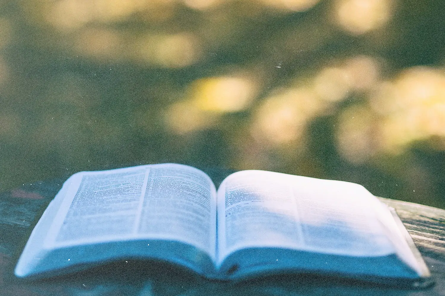 Open Bible resting on a wooden bench with sunlight illuminating the pages