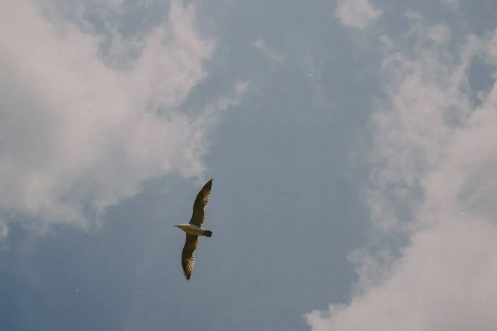 Create a Spiritual Checklist To Soar In Faith