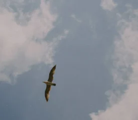 Create a Spiritual Checklist To Soar In Faith