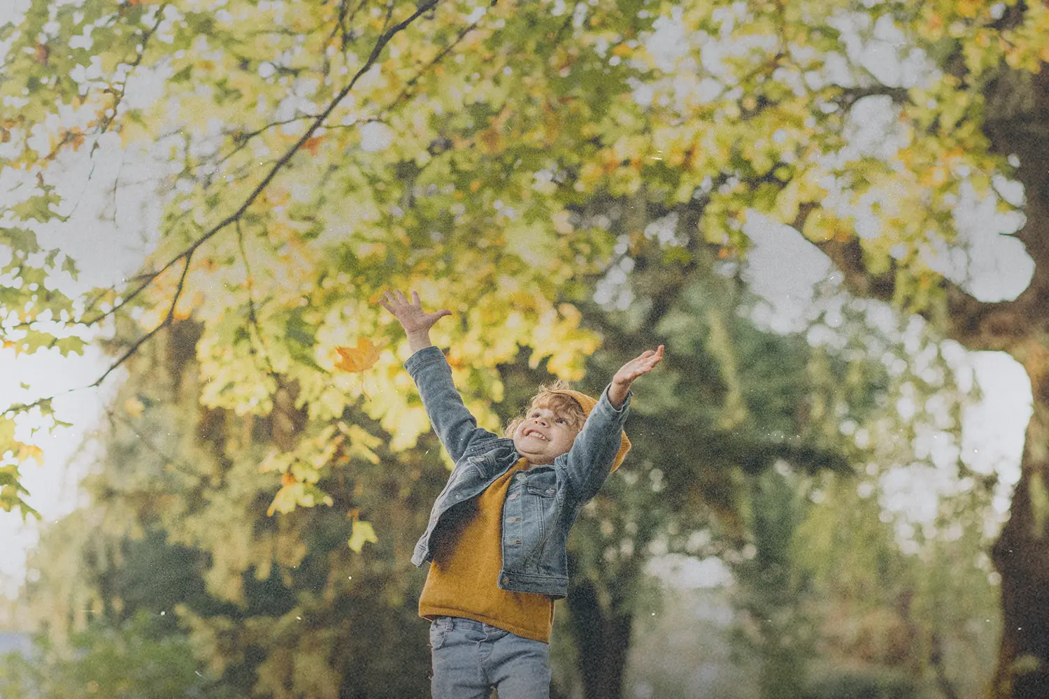 Child standing under a tree with autumn leaves, reaching upward in a sunlit park
