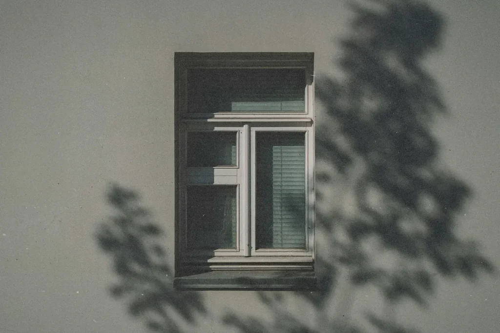 Shadow of tree branches on the side of concrete building with single window