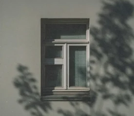 Shadow of tree branches on the side of concrete building with single window