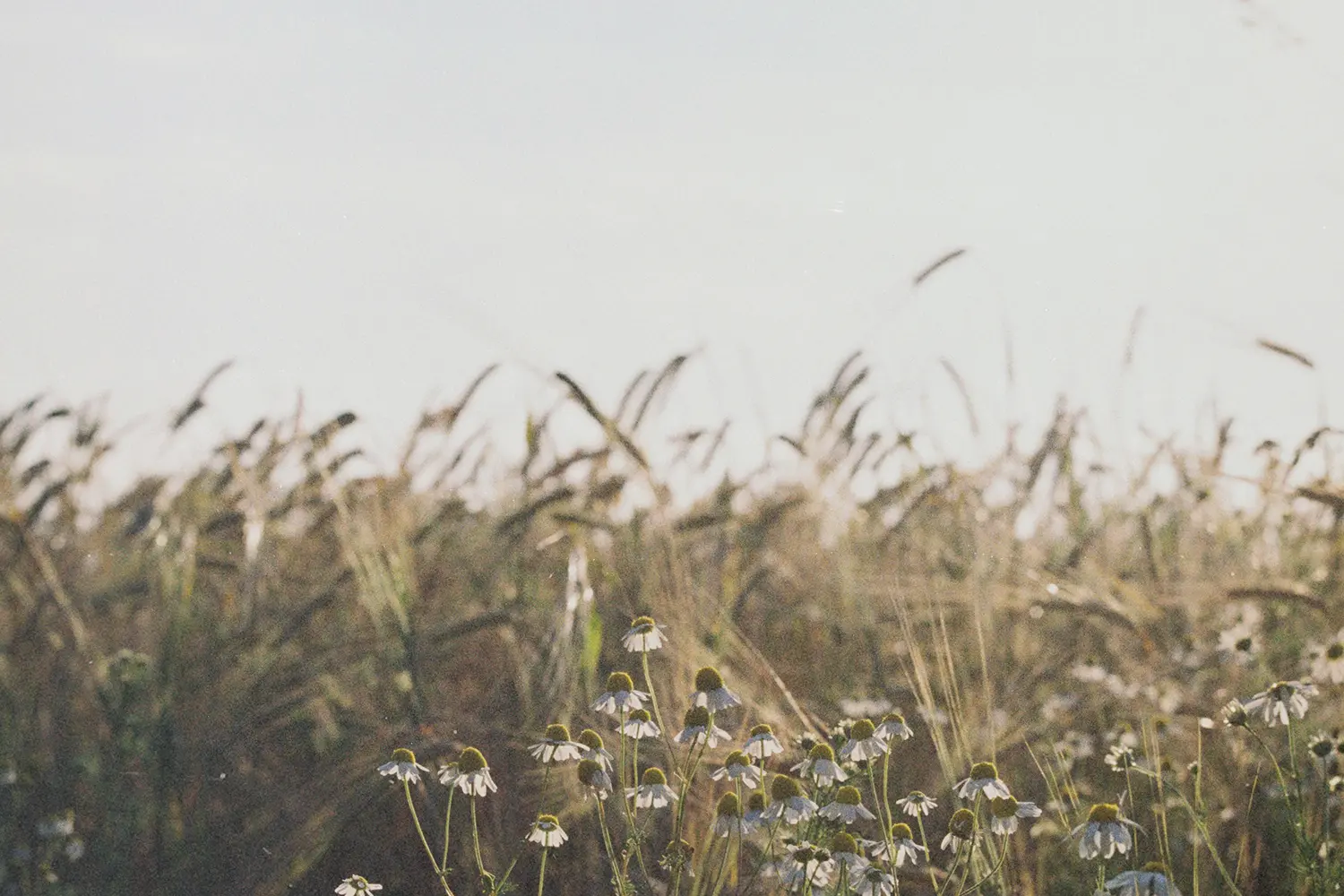 3 Ways To Apply the Covenant of Tithing in Your Life