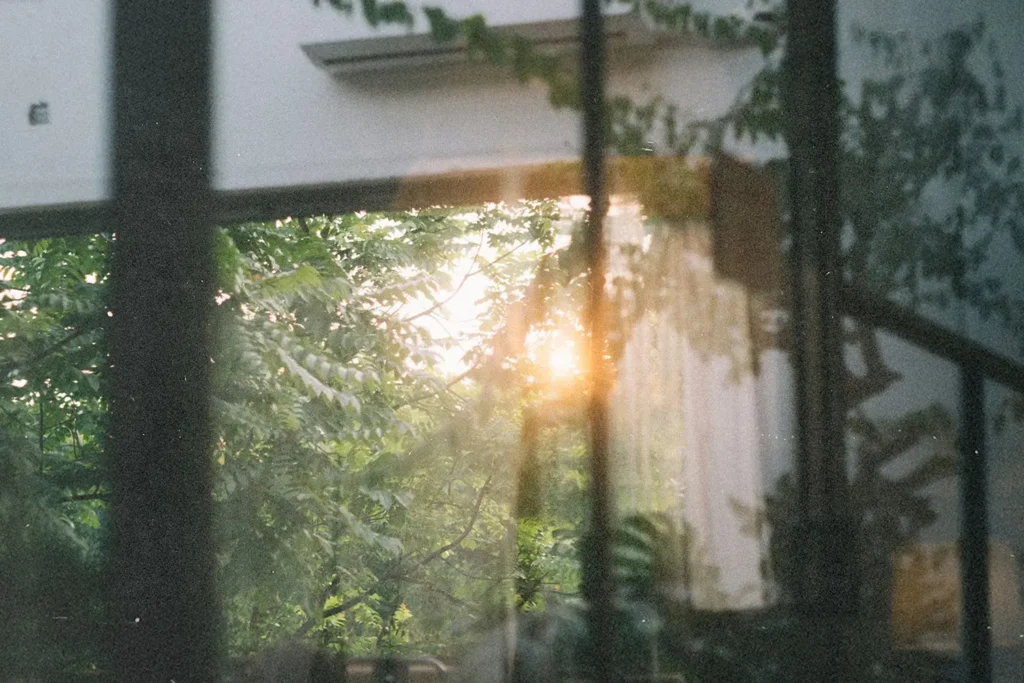 Sunlight shining through green trees outside a window, creating a peaceful, natural view that reflects a calm setting for faith habits in the new year.