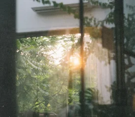Sunlight shining through green trees outside a window, creating a peaceful, natural view that reflects a calm setting for faith habits in the new year.