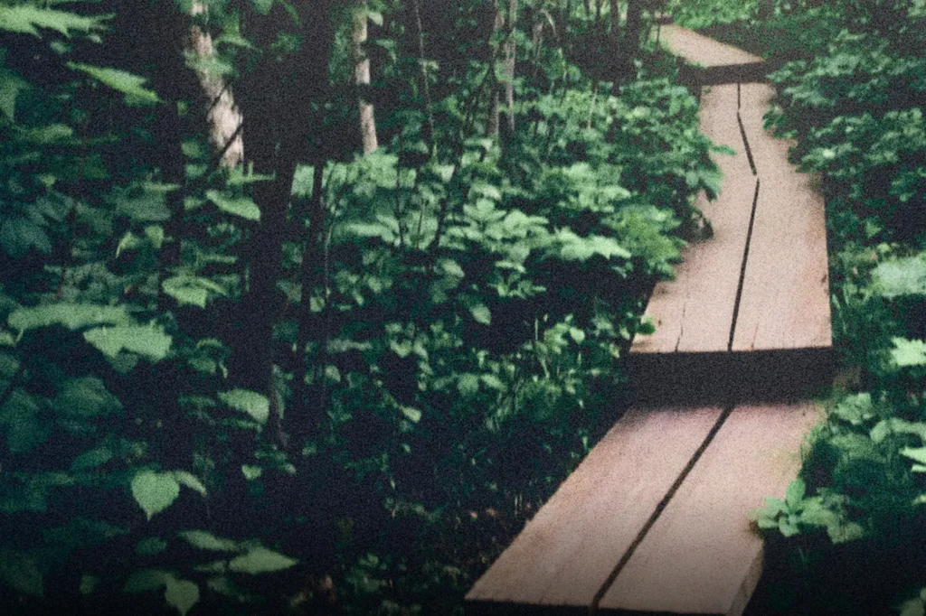 A wooden road in the forest, representing learning to move forward with new faith practices in 2026
