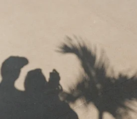 The shadow of two people holding hands next to the shadow of a palm tree on a sunlit pavement.