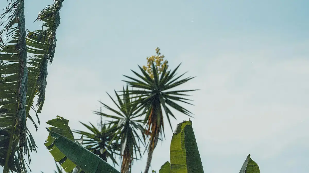 Latin America office exterior placeholder image