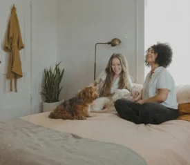 Two people sitting on a bed with two small dogs in a softly lit bedroom